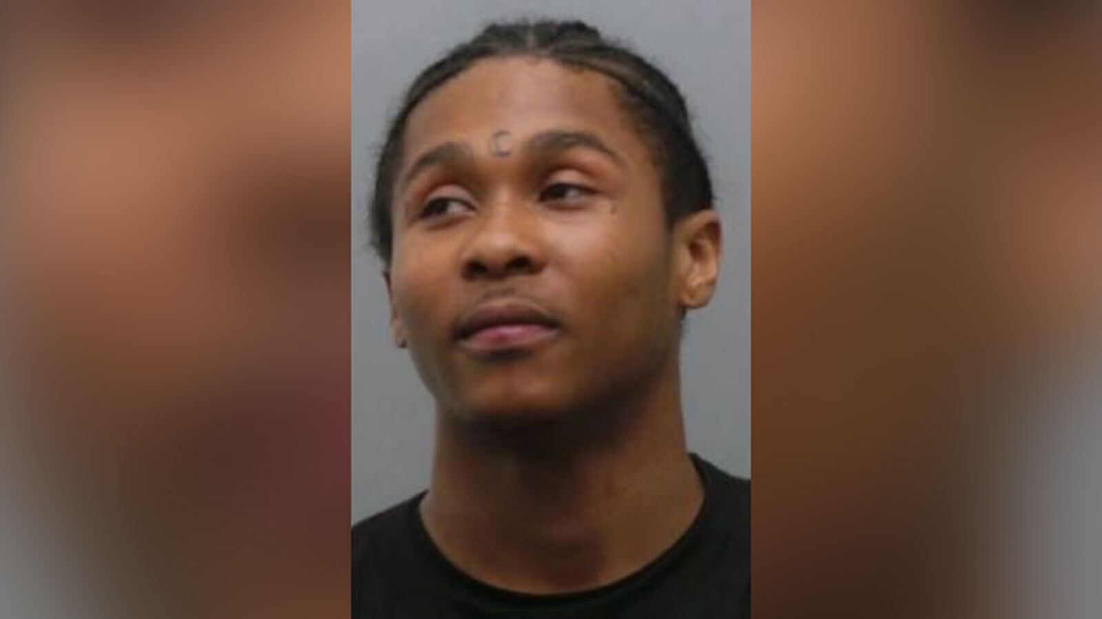 Perez Reed booking photo